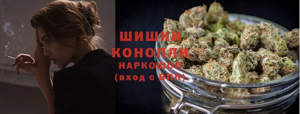 spice Медногорск