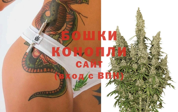 spice Мегион
