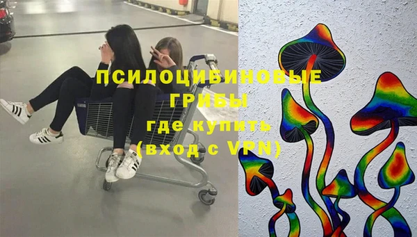 spice Мегион