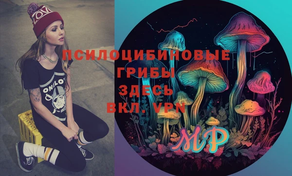 мет Медвежьегорск