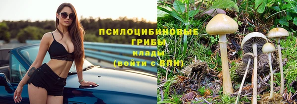 мет Медвежьегорск