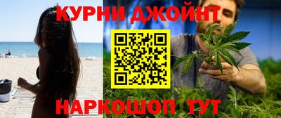 тгк Гай