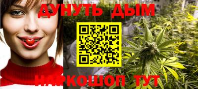 тгк Гай