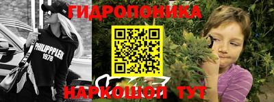 мдпв Гатчина