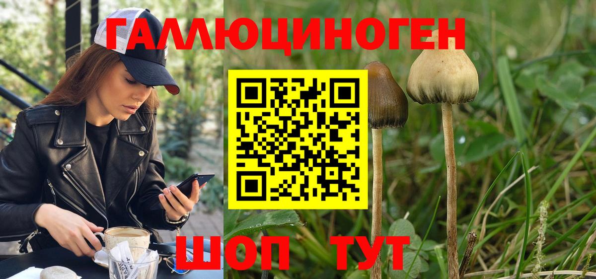 как найти   Псилоцибиновые грибы GOLDEN TEACHER  Магнитогорск  Вход с VPN  Псилоцибиновые грибы ЛСД 