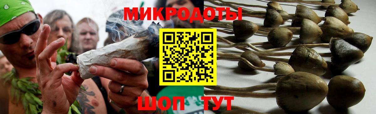 Галлюциногенные грибы Cubensis Магнитогорск