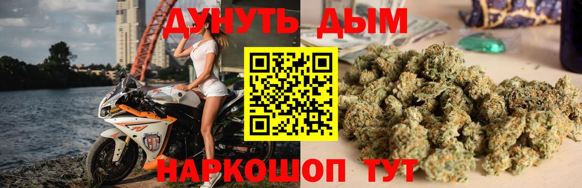Конопля сатива Магнитогорск
